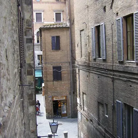 Cannon D'oro Siena