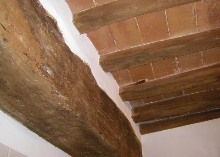 알베르고 캐논 도로 호텔